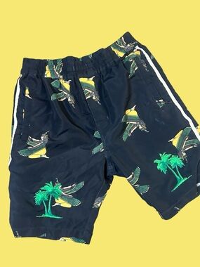 Billionaire Boys Club Goddes Shorts 'Black/Green'